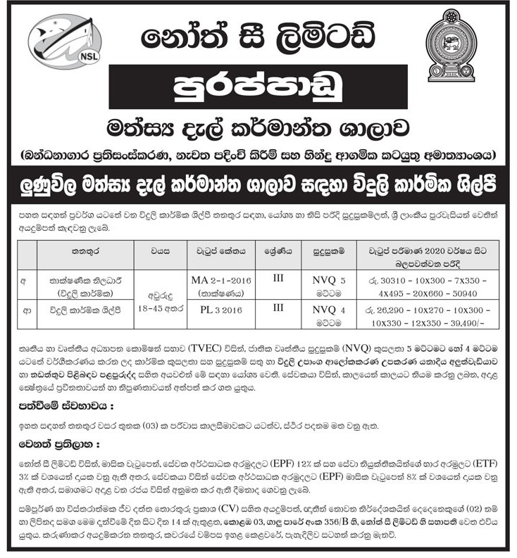 Technical Officer, Electrician - Northsea Ltd